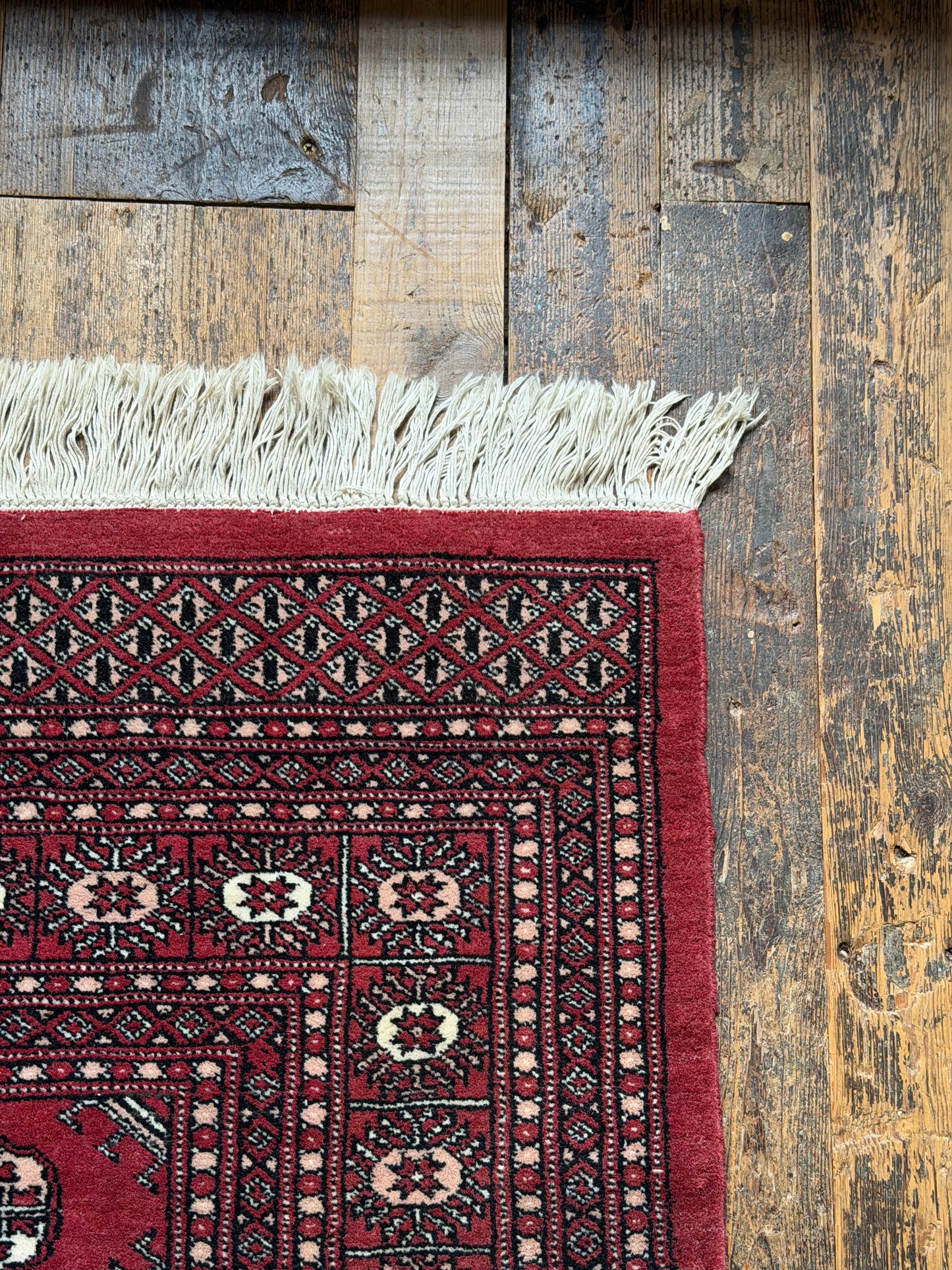 Pakistani Wool Rug - Traditional Bokhara Design