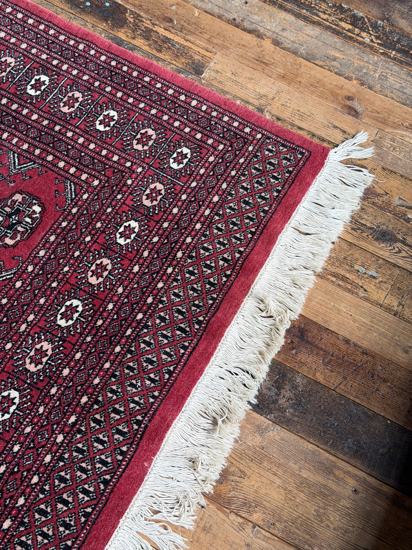 Pakistani Wool Rug - Traditional Bokhara Design